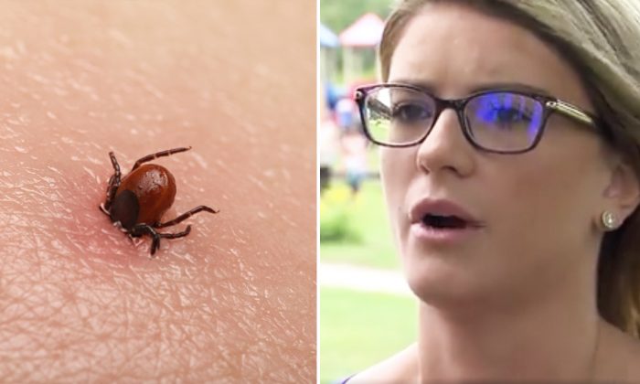 Des parents mettent en garde contre les dangers des tiques après la mort de leur enfant