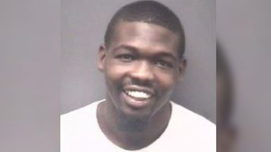 Un homme est accusé de cruauté envers les animaux après s&rsquo;être filmé en train de tuer une tortue