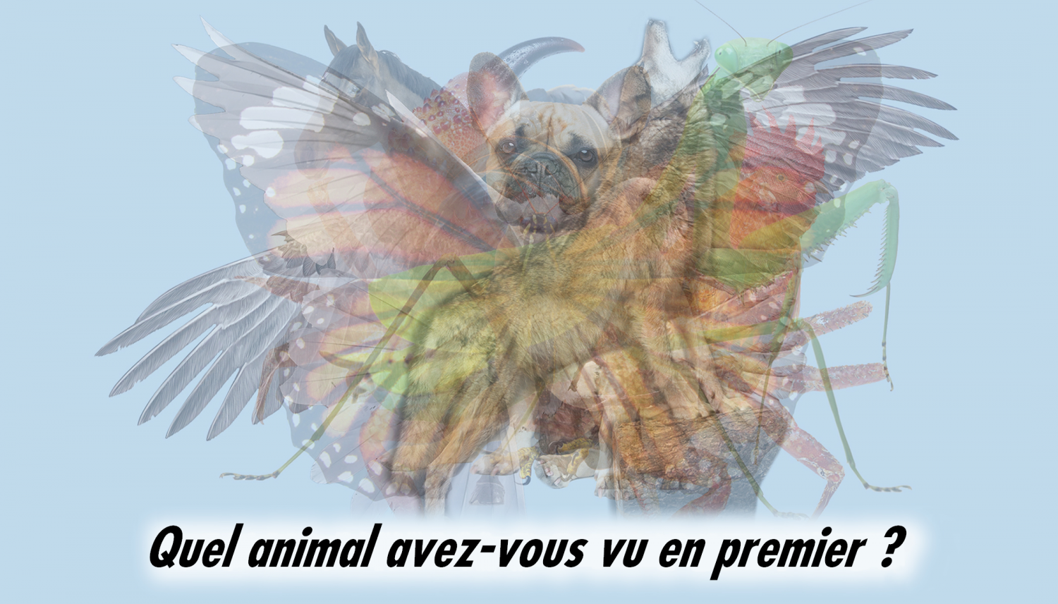 Le premier animal que vous voyez dans cette image révélera des aspects cachés de votre personnalité