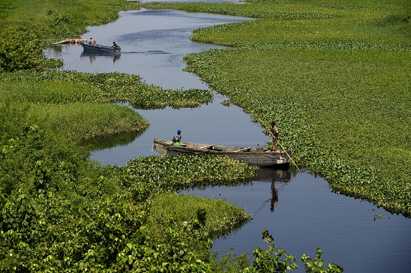 Les jacinthes d&rsquo;eau envahissent Lagos, mégapole d&rsquo;Afrique de l&rsquo;Ouest