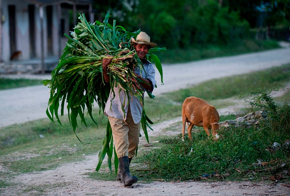 Choyés par leurs proches, les centenaires cubains visent les 120 ans