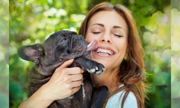 Pourquoi vous ne devriez jamais laisser votre chien vous lécher le visage – une vérité crue