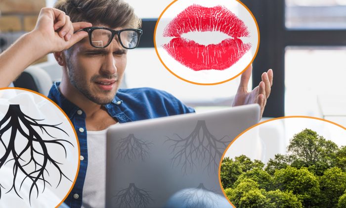 La première chose que vous voyez dans cette photo révélera des vérités cachées sur votre personnalité