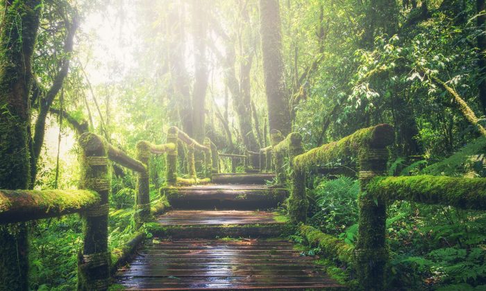 Histoires chinoises ancestrales : les grands projets commencent par de petites étapes