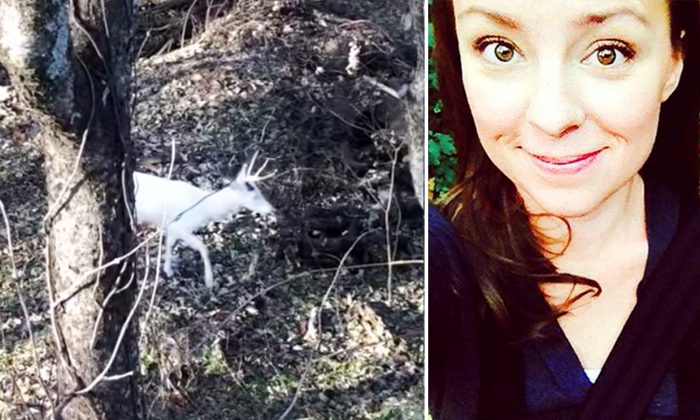 Une créature aperçue dans la forêt était si majestueuse qu&rsquo;elle finit par faire verser des larmes