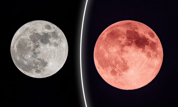 La «pleine lune des fraises» se lève ce 17 juin – il est dit qu&rsquo;elle apporte avec elle un renouveau spirituel