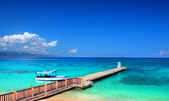 Un animal marin à l&rsquo;allure inhabituelle est aperçu hors de l&rsquo;eau sur une plage d&rsquo;Australie
