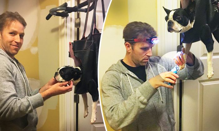 Il a une idée de génie pour couper les ongles de son chien