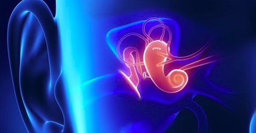 Un médecin sud-africain réalise la première greffe d’oreille moyenne au monde à l’aide de la technologie 3D