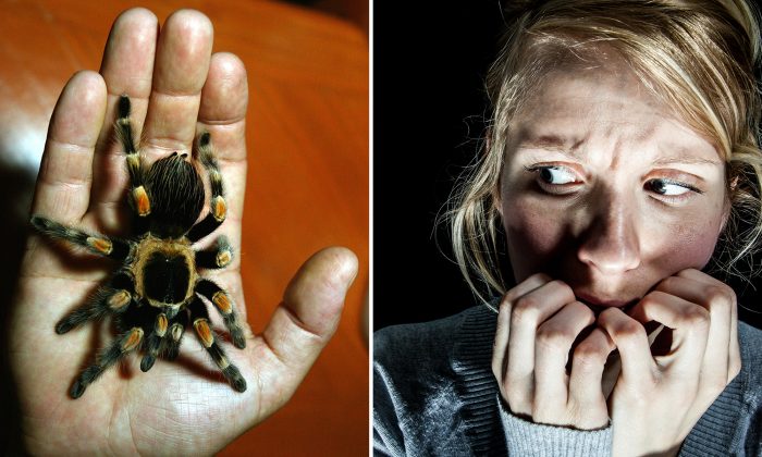 10 peurs communes et ce qu’elles révèlent sur votre vraie personnalité