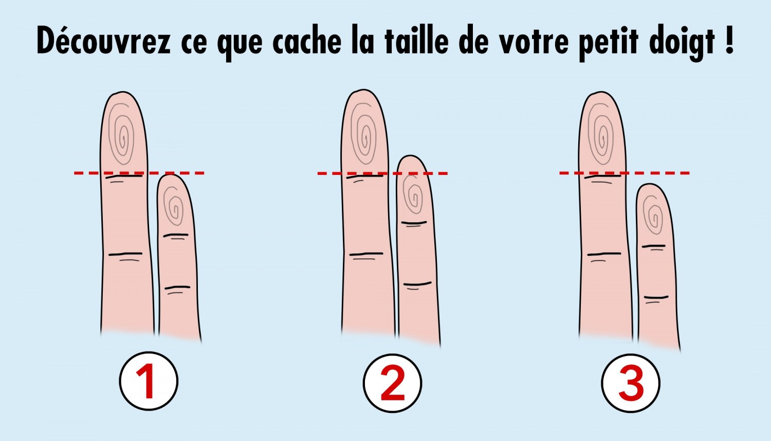 La taille de votre petit doigt recèle des indices sur votre personnalité et votre santé!