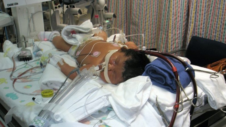 Argentine: une mère s&rsquo;enchaîne pour obtenir le médicament nécessaire à son bébé atteint d&rsquo;une maladie génétique rare