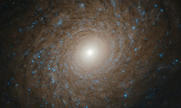 Une superbe galaxie spirale repérée par Hubble à plus de 70 millions d&rsquo;années-lumière de notre système solaire