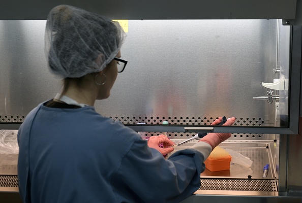 Première mondiale: des chercheurs ont réussi à éliminer durablement le virus du sida chez des souris infectées