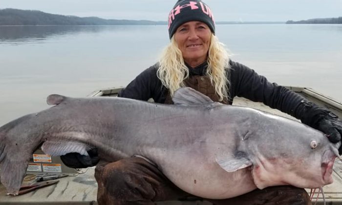 Une grand-mère pêche un « monstre d&rsquo;eau douce » de 40 kilos, le plus gros qu&rsquo;elle ait jamais vu
