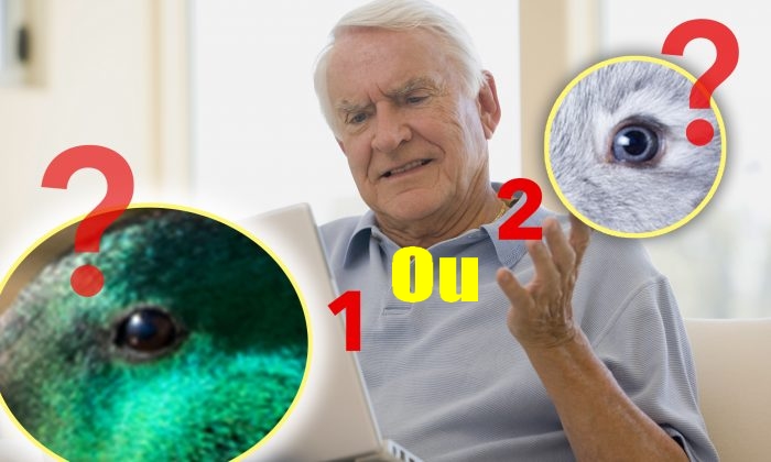 Une illusion d&rsquo;optique célèbre, veille de 127 ans, peut révéler des aspects intéressants de votre personnalité