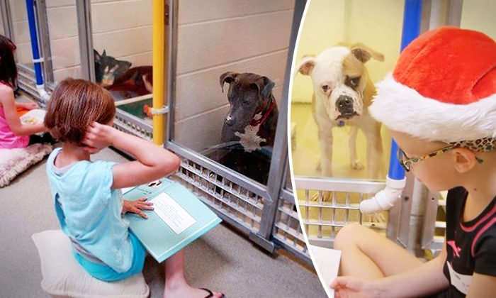 Des enfants encouragent des chiens effrayés d’un refuge à sortir de leurs coquilles en leur faisant la lecture pour les aider à se faire adopter