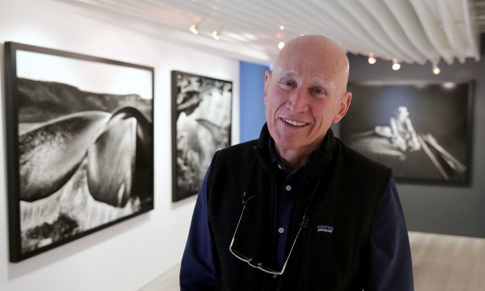 Un Brésilien plante plus de 2 millions de jeunes arbres en 20 ans et reboise plus de 600 hectares de son ranch