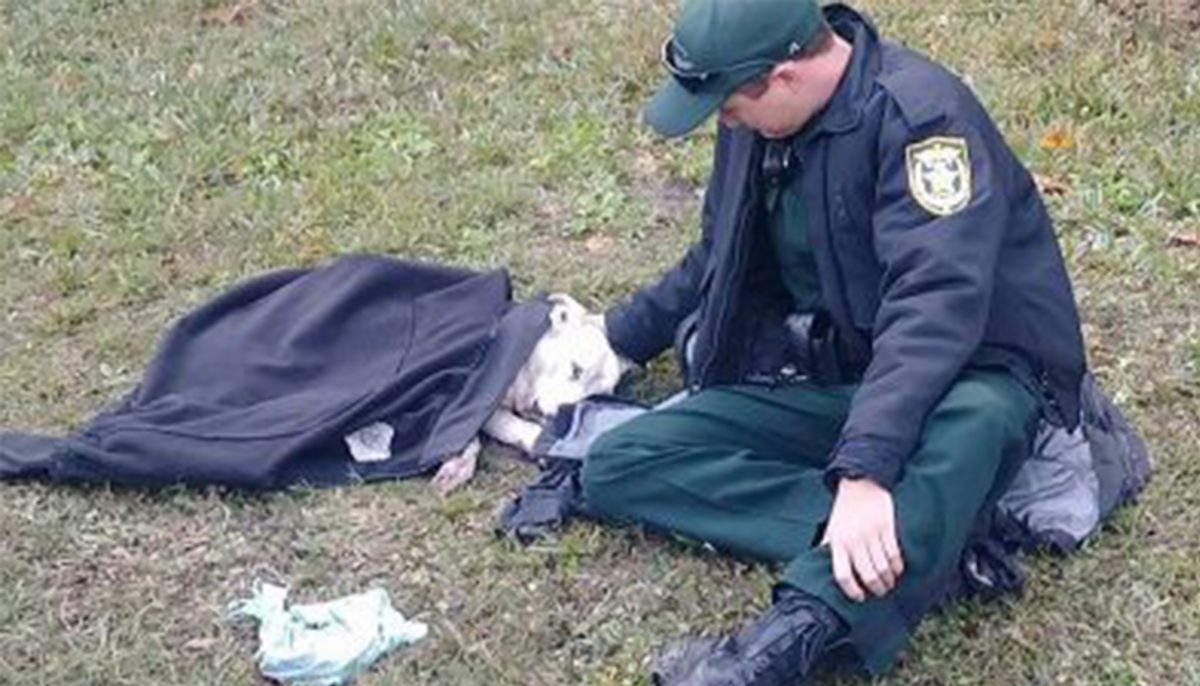 Un policier réconforte une chienne sur les lieux d&rsquo;un accident de voiture – la photo devient virale sur Internet