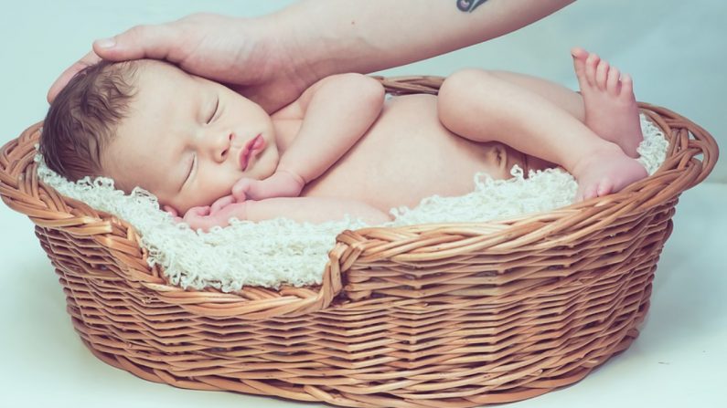 Un chat trouve un bébé dans une boîte et le garde au chaud jusqu&rsquo;à ce que les secours arrivent