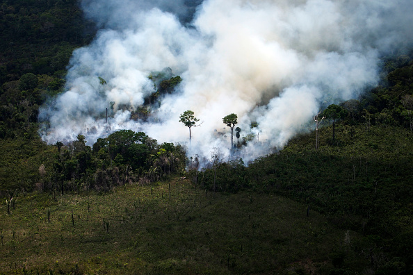 Incendies en Amazonie: Bolsonaro sous pression internationale, manifestations vendredi