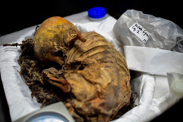 Archéologie: découverte du plus grand site de sacrifice rituel d&rsquo;enfants au Pérou