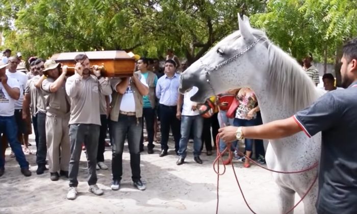Une vidéo émouvante montre un cheval en deuil en train de dire adieu à son maître lors de ses funérailles