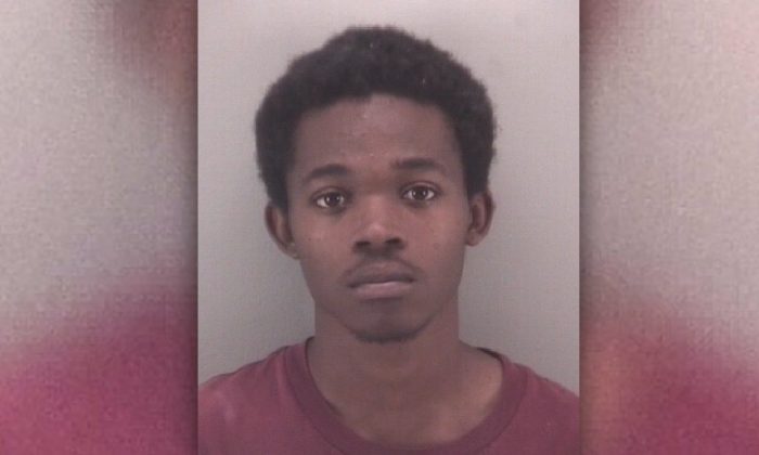 Un homme qui a attaché un pitbull à une clôture, l&rsquo;a arrosé avec de l&rsquo;essence à briquet et l&rsquo;a incendié, reçoit sa peine