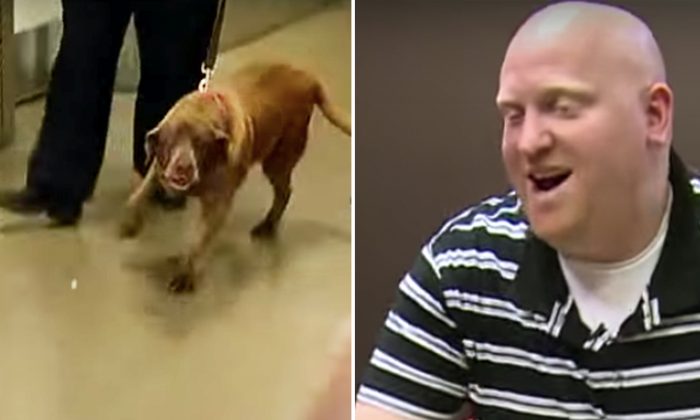 Un chien renifleur de bombes retrouve un ancien combattant de la guerre d&rsquo;Irak après deux ans de séparation