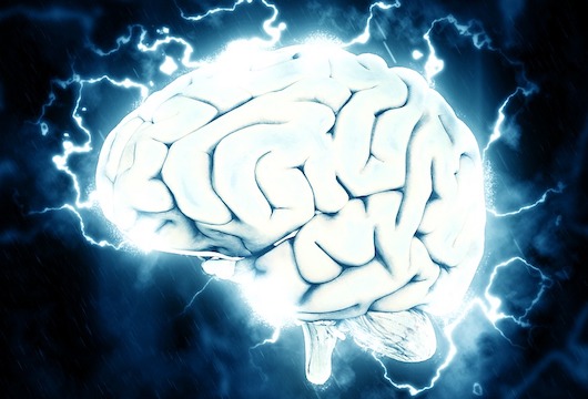 Une première : des mini-cerveaux créés en laboratoire dévoilent une activité électrique proche de celle des humains