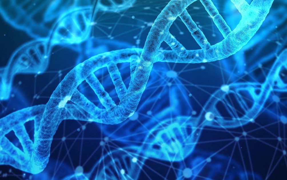 Il n&rsquo;y a pas de « gène gay », confirme la plus grande étude ADN jamais réalisée et publiée sur la revue Science