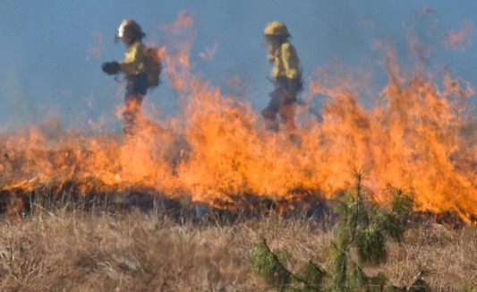 Feux de forêt en Sibérie : Donald Trump offre son aide à Vladimir Poutine