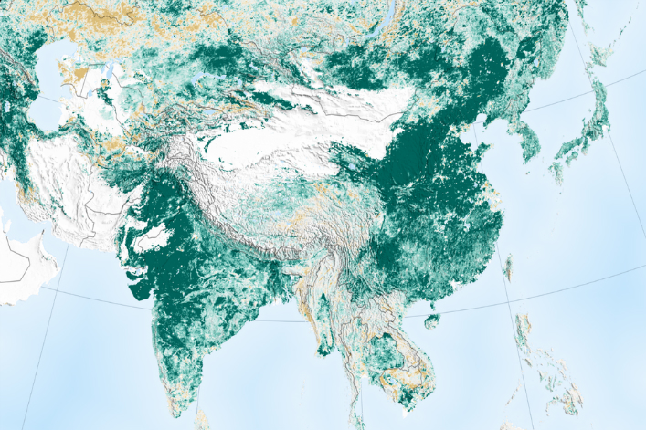 La planète n&rsquo;a jamais été aussi verte depuis 20 ans – plus de 5,5 millions km² gagnés