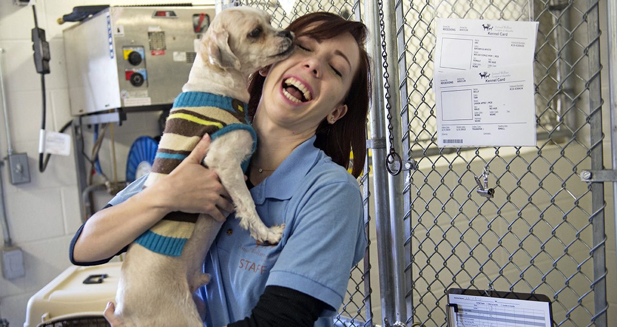 Les protecteurs des animaux félicitent le Michigan d&rsquo;être devenu un État exempt d&rsquo;euthanasie animale