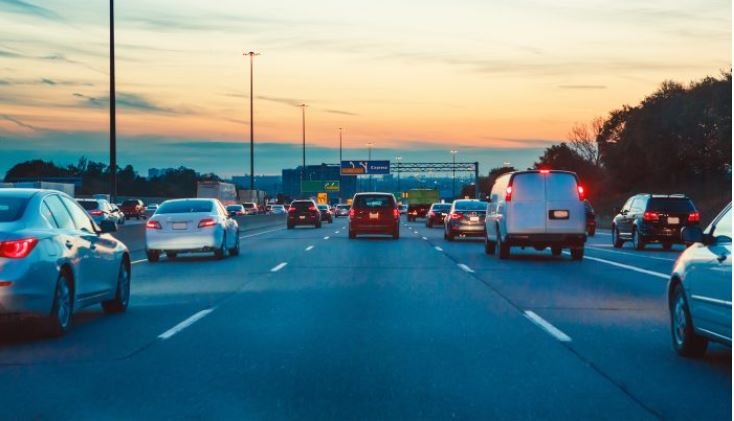 Un homme s&rsquo;arrête sur une route très fréquentée lorsqu&rsquo;il aperçoit 3 chiots errants en grand danger