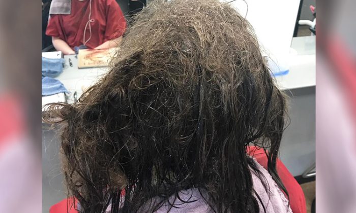 Une adolescente ne s&rsquo;est pas peignée depuis des mois, une coiffeuse consacrera 13 heures à la transformer