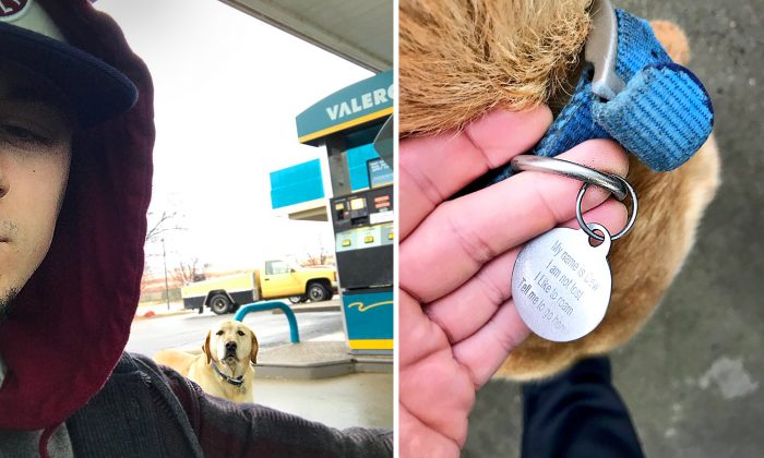 Un jeune homme pense avoir trouvé un chien errant à la station-service jusqu&rsquo;à ce qu&rsquo;il lise sa médaille : «Je ne suis pas perdu, j&rsquo;aime juste vagabonder»