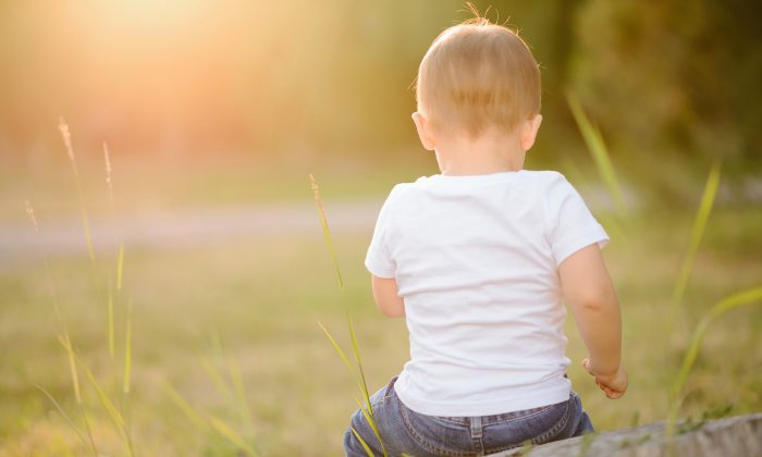 Des sauveteurs localisent un enfant de 6 ans disparu depuis 22 heures – ils le retrouvent avec un chien loyal qui le protégeait