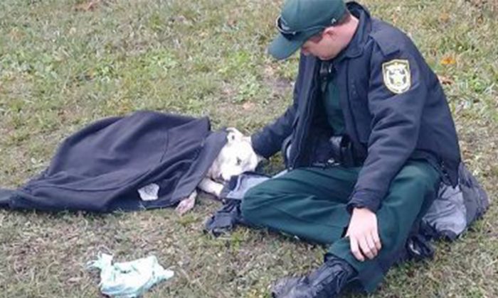 Un policier réconforte un chien qui a eu un accident de voiture – la photo devient virale sur Internet