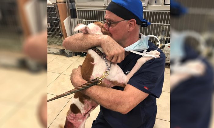 Ce chien gravement brûlé devient complètement fou lorsqu&rsquo;il revoit l&rsquo;homme qui lui a sauvé la vie