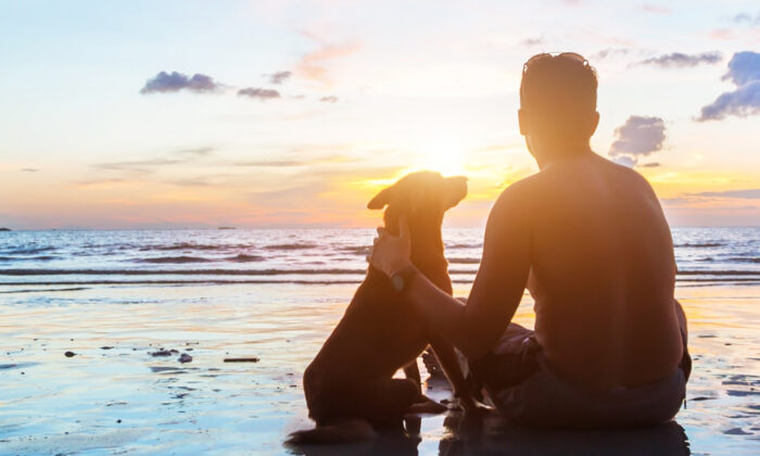 Un chien fidèle refuse de partir et se blottit à côté de son maître décédé après qu&rsquo;il a été heurté par un train