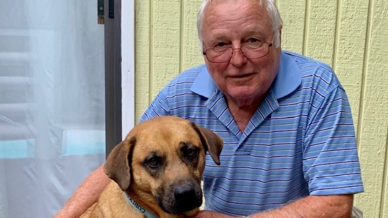 Un chien sauve son maître d&rsquo;un incendie en le poussant avec son museau pour le réveiller