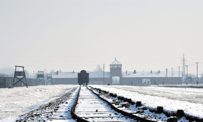 Une survivante de l&rsquo;Holocauste qui a échappé à une chambre à gaz à Auschwitz anéantit les critiques contre Donald Trump