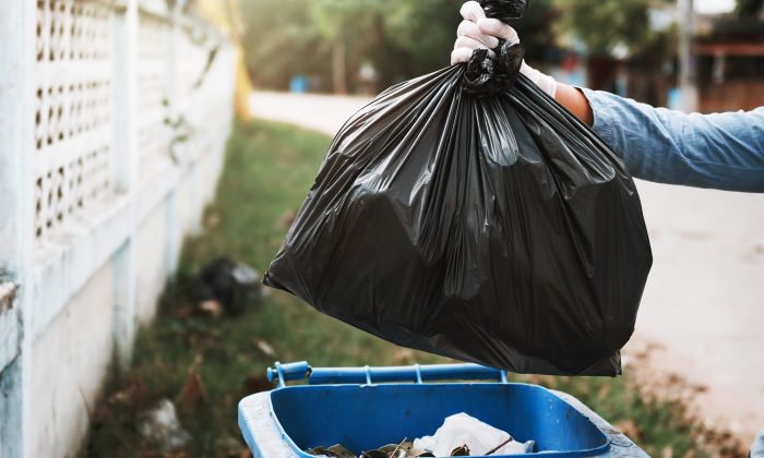 Un chien jeté dans un vide-ordures du 22e étage est miraculeusement repéré à temps par un employé