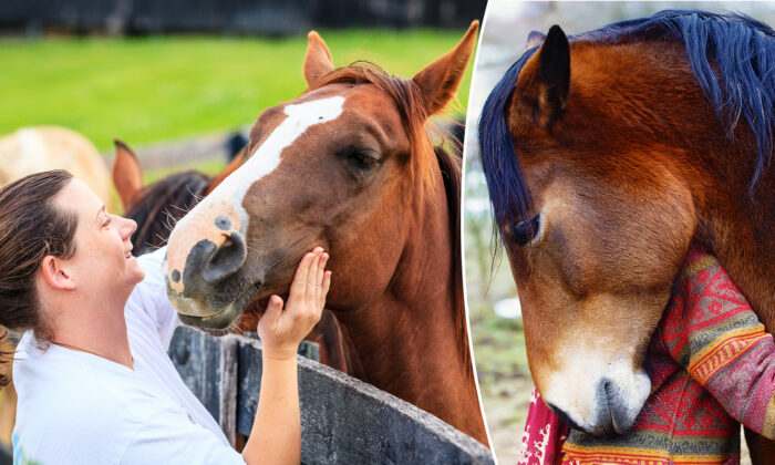 Une « thérapie par le cheval » offre aux visiteurs une expérience unique et transformatrice