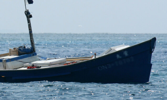 Un énorme «monstre marin» avec la bouche grande ouverte est pêché près du site du désastre nucléaire de Fukushima