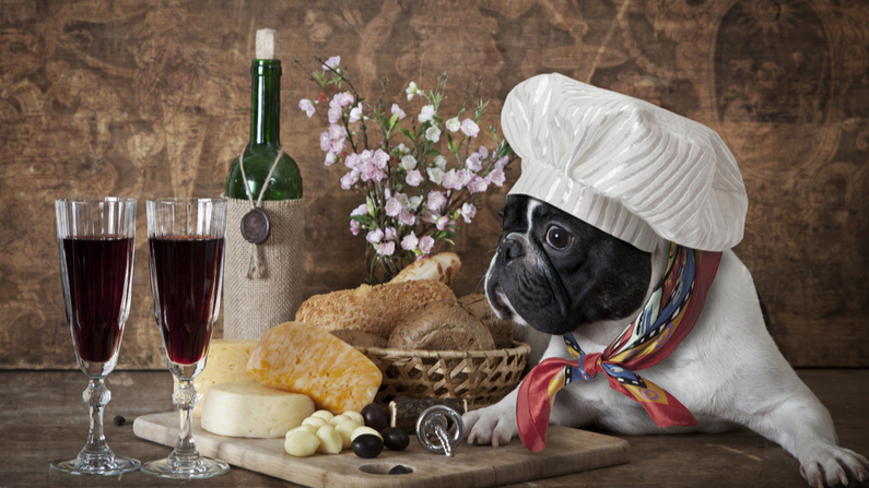 Un chef au grand cœur nourrit les chiens errants avec les restes des banquets d&rsquo;un hôtel de luxe