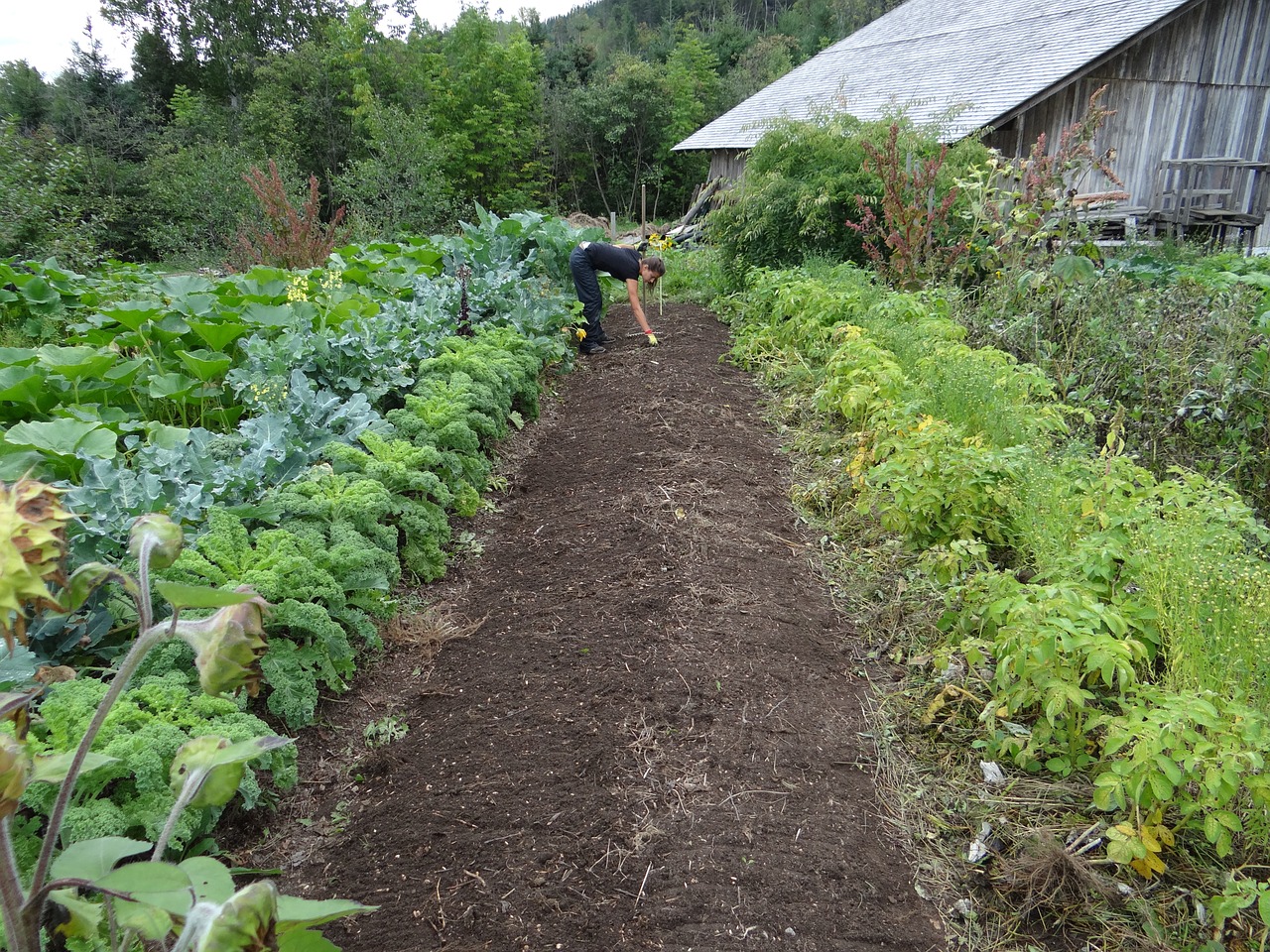 Paris – un collège remplace les heures de colle par des corvées de jardinage pour que les punitions aient du sens