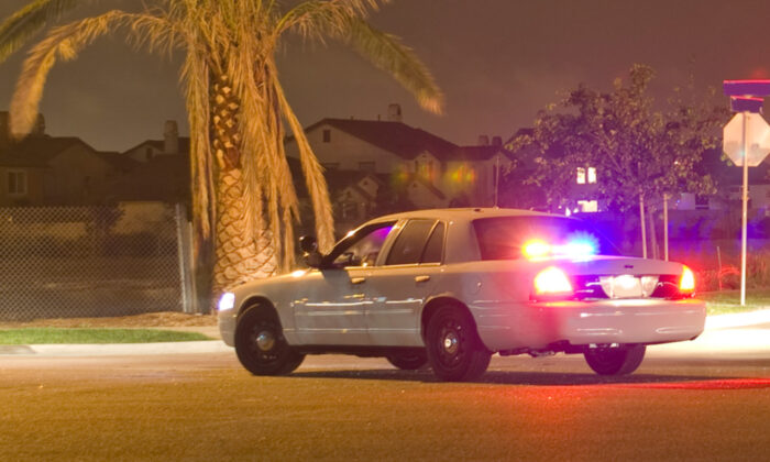 Des policiers prennent soin de 2 pitbulls blessés sur la route à 4 h du matin en les câlinant jusqu&rsquo;à l&rsquo;arrivée des services vétérinaires