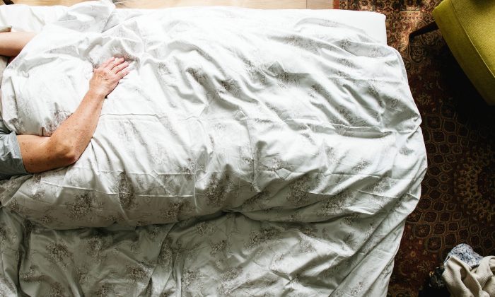 «Mais où est passé mon dentier ?» Le sourire impayable de cette chienne va vous donner un indice